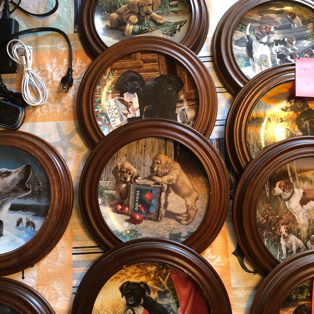 Bradford Exchange 20+ plates